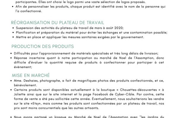 Rapport-Annuel-Cyber-Cible-19